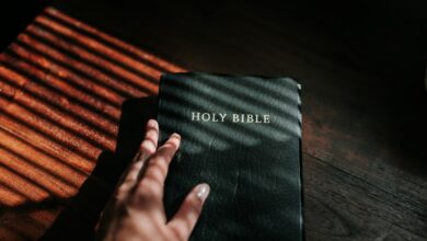 person holding black leather bible - discover the 3 Reasons Why You Need Jesus